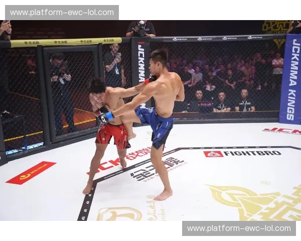 综合格斗主场：每一次出拳，都为热爱而来